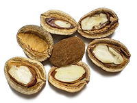 Pestki afrykańskiego mango (Irvingia Gabonensis)